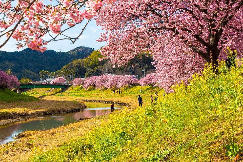 🏞️ 유미가하마 공원 이미지 6